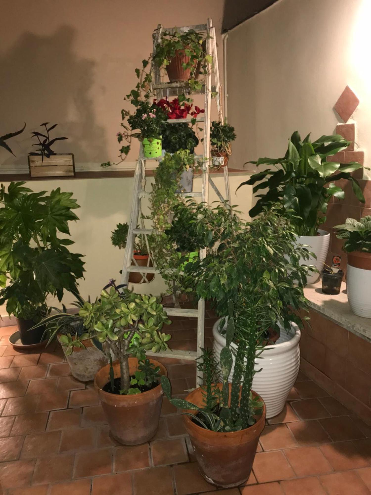 Apartment Ilbricco Naples
